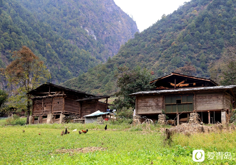 行走中的风景：汹涌奔腾的怒江之水 刀削斧凿的翠绿群山