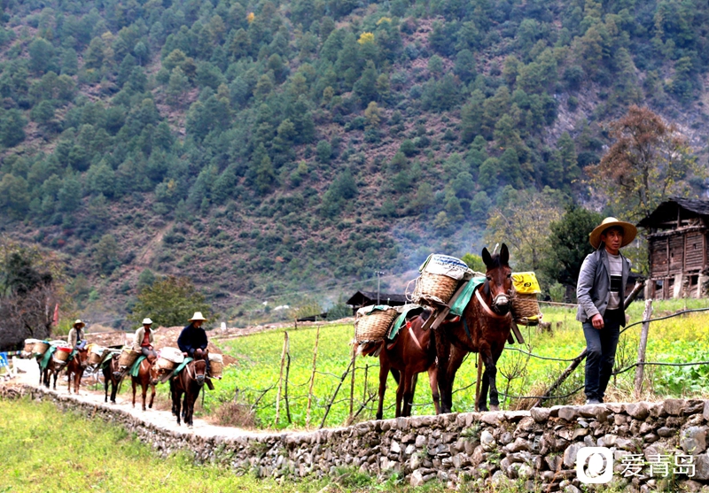 行走中的风景：汹涌奔腾的怒江之水 刀削斧凿的翠绿群山