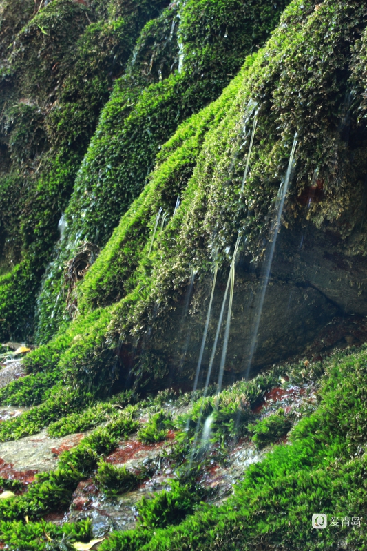行走中的风景: 品华夏文明 游俊美山西
