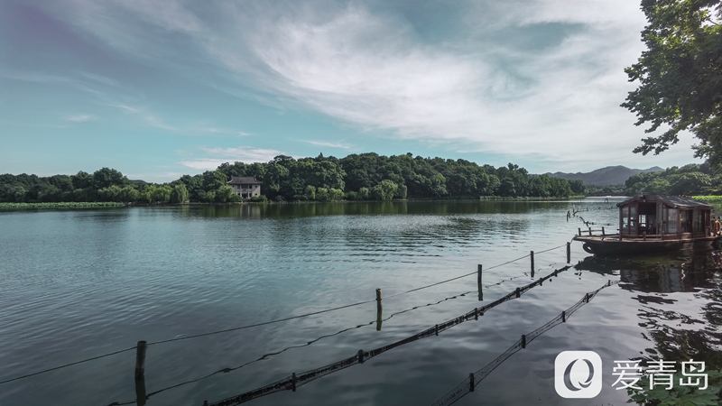 行走中的风景:醉美西湖夏日行 映日荷花别样红
