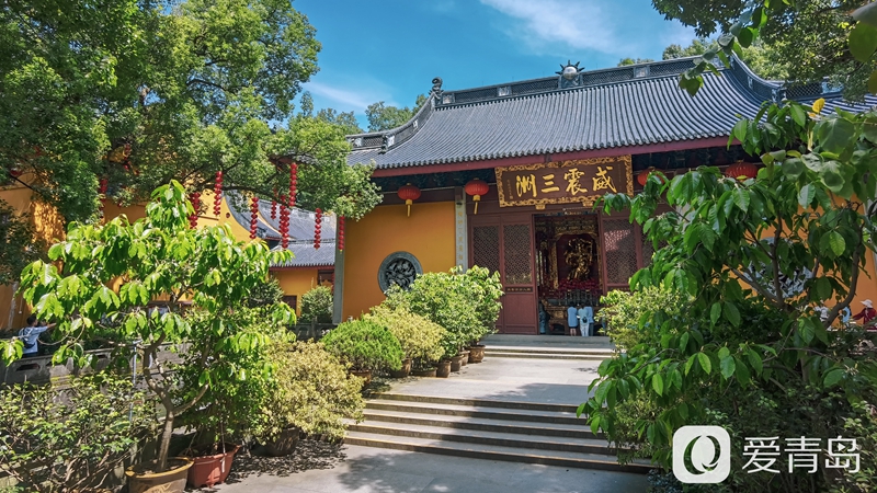 行走中的风景:醉美西湖夏日行 映日荷花别样红