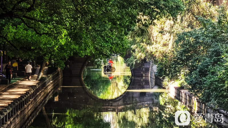 行走中的风景：醉美西湖夏日行 映日荷花别样红