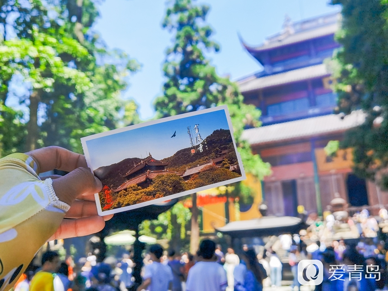 行走中的风景:醉美西湖夏日行 映日荷花别样红