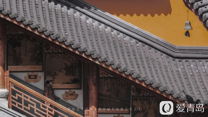 行走中的风景：醉美西湖夏日行 映日荷花别样红