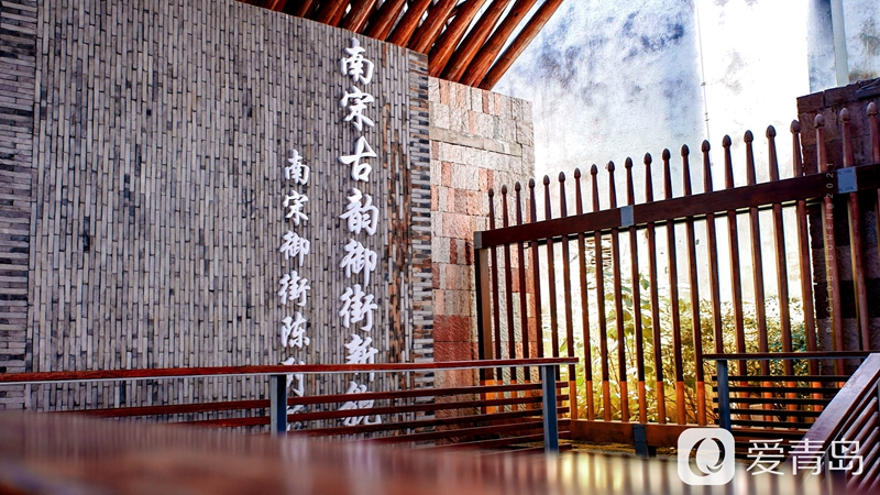 行走中的风景：醉美西湖夏日行 映日荷花别样红