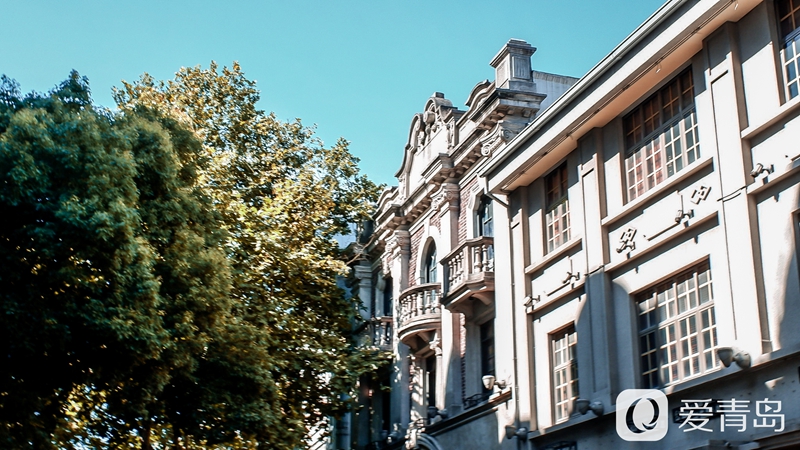 行走中的风景：醉美西湖夏日行 映日荷花别样红