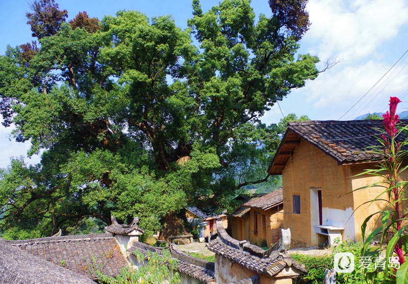 行走中的风景:漫步松阳古老的街道 探寻藏在深山的秘境
