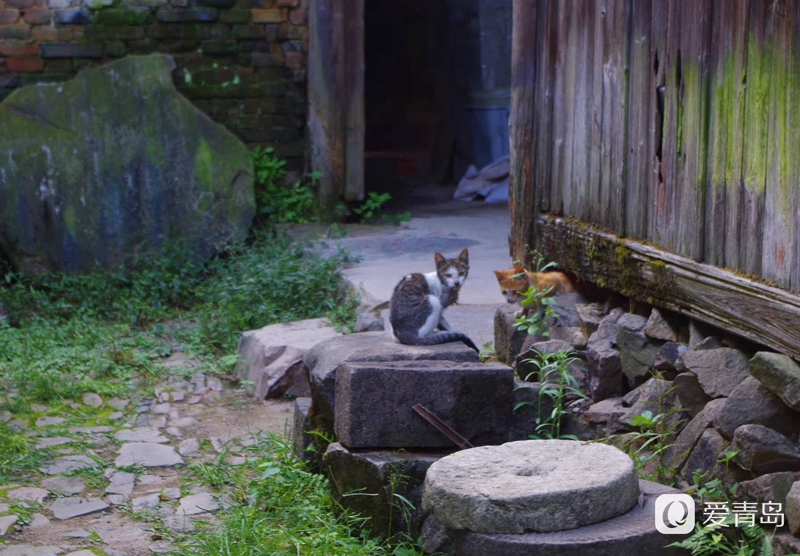 行走中的风景:漫步松阳古老的街道 探寻藏在深山的秘境