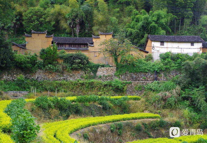 行走中的风景:漫步松阳古老的街道 探寻藏在深山的秘境