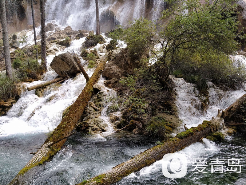 行走中的风景：秋韵九寨沟 绿水青山间的人间秘境