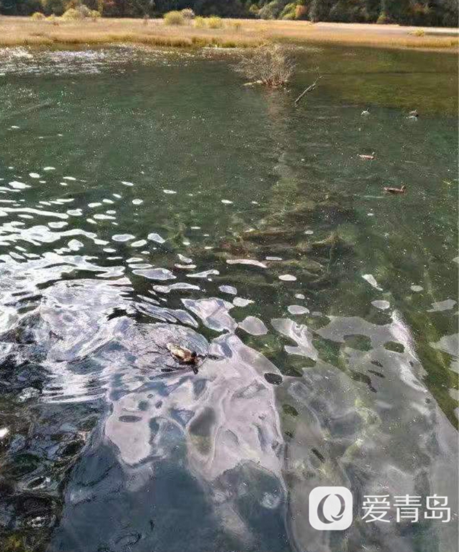 行走中的风景：秋韵九寨沟 绿水青山间的人间秘境