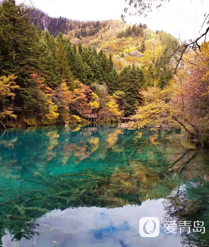 行走中的风景：秋韵九寨沟 绿水青山间的人间秘境