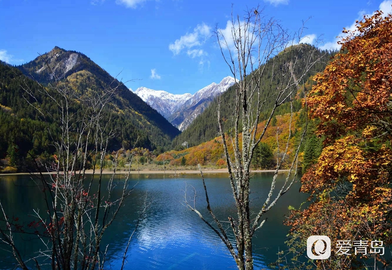 行走中的风景:秋韵九寨沟 绿水青山间的人间秘境
