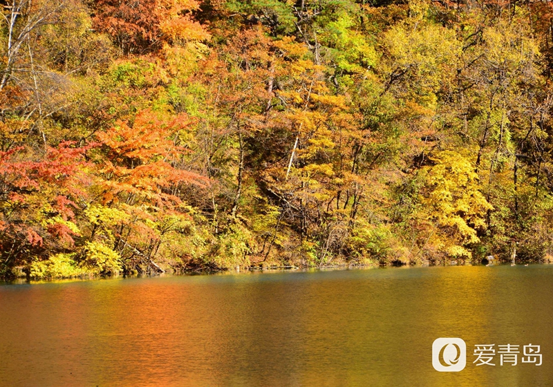 行走中的风景:秋韵九寨沟 绿水青山间的人间秘境