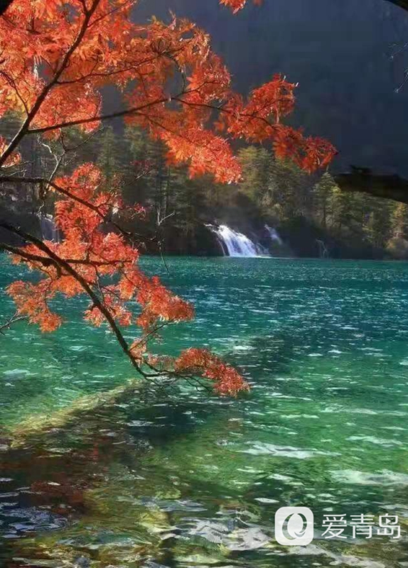 行走中的风景：秋韵九寨沟 绿水青山间的人间秘境