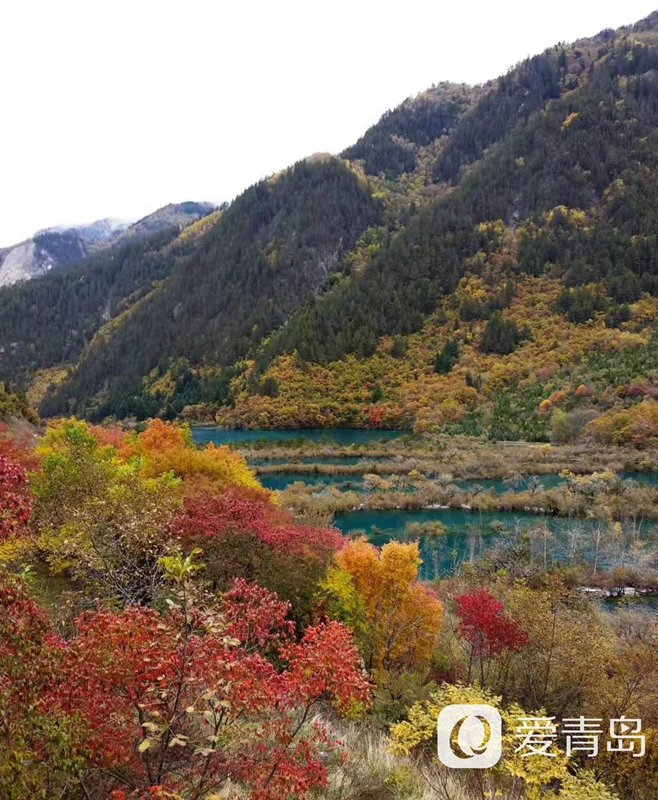 行走中的风景：秋韵九寨沟 绿水青山间的人间秘境