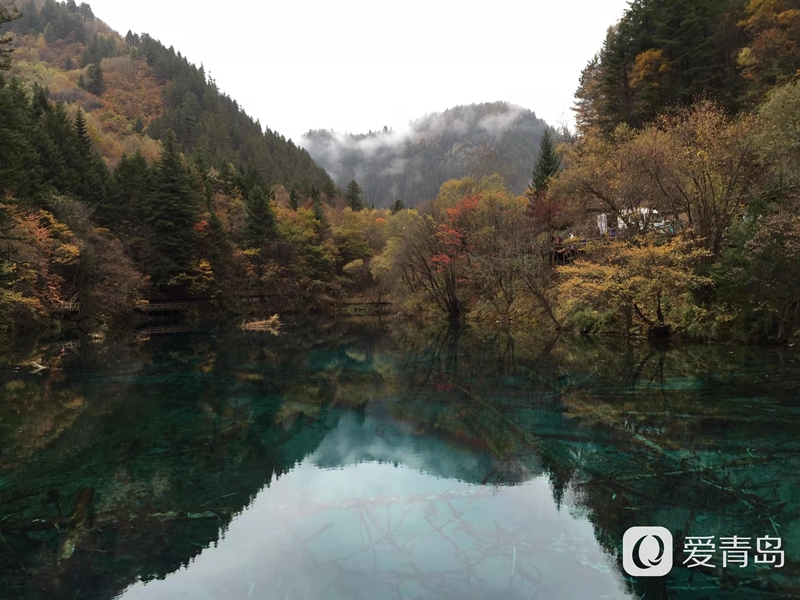 行走中的风景:秋韵九寨沟 绿水青山间的人间秘境