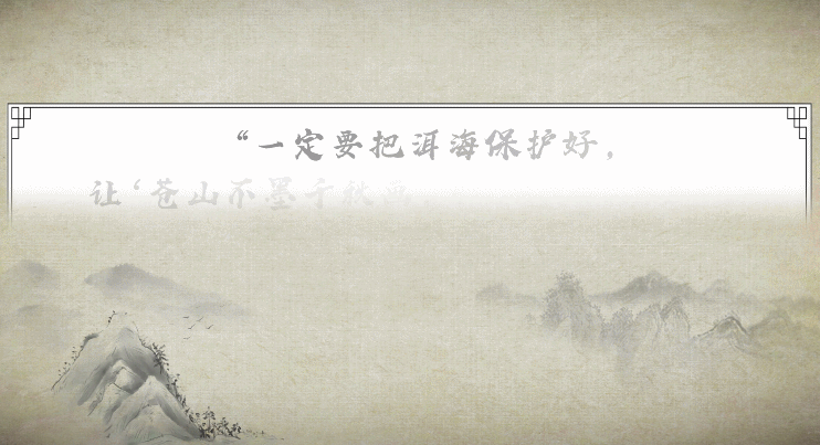 1610801560243_28.gif