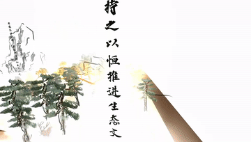 11.gif