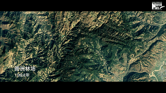 4.gif
