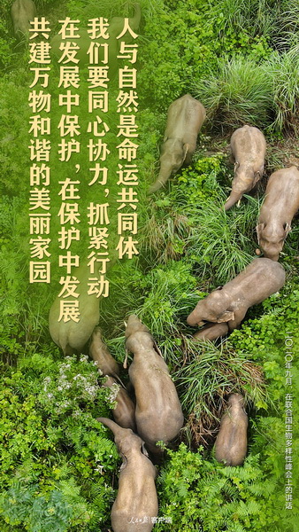 3_调整大小.jpg