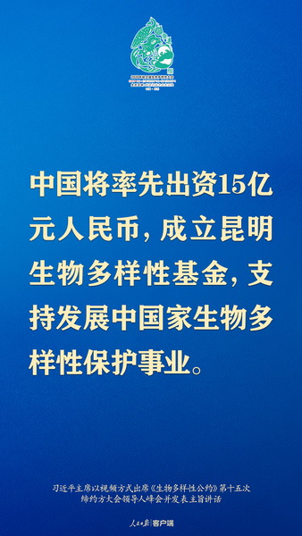 4_调整大小.jpg