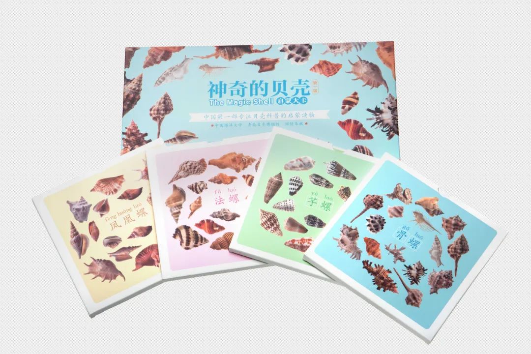 神奇的贝壳3.jpg 图片
